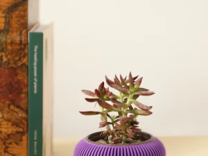 Maceta 3D Kioto chica color morado con impresión 3D