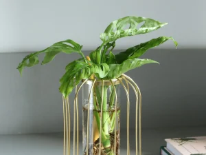 Florero Nórdico con forma de Lámpara Geométrica con Cilindro de vidrio ancho, color Dorado