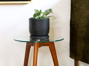 Maceta Tulipán con Plato 15 x 17 cm de concreto pulido.