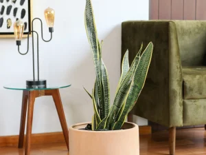 Maceta Terracota Forma de Cilindro 30 x 33 cm