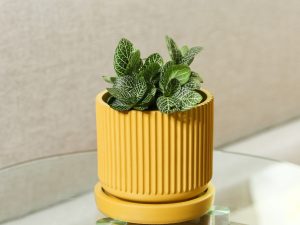 Maceta Ruffle Mediana con plato de concreto Amarillo