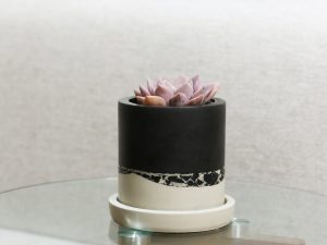 Maceta Craquelada Chica con plato de concreto Blanco y negro