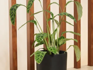 Maceta de Cerámica de CIlindro 35 x 30 cm con Plato, Negro mate.